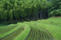 明日香村　大字島庄