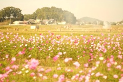 明日香村 大字飛鳥 明日香村 大字飛鳥