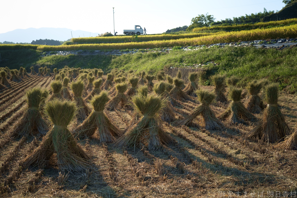 明日香村　大字野口