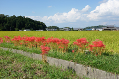 明日香村　大字岡