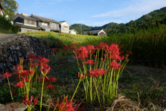 明日香村　大字稲渕