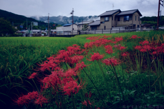 明日香村　大字川原