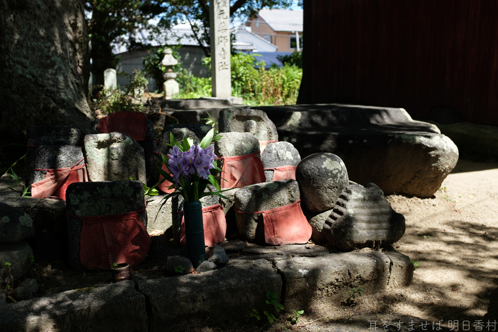 橿原市　城殿町（ 本薬師寺跡 ）