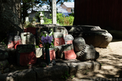 橿原市 城殿町( 本薬師寺跡 ) 橿原市 城殿町( 本薬師寺跡 )