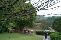 国営飛鳥歴史公園　高松塚周辺地区