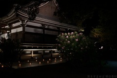 明日香村　大字橘　橘寺（ 飛鳥光の回廊2021 )