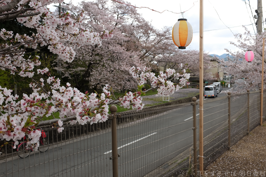 橿原市　石川町