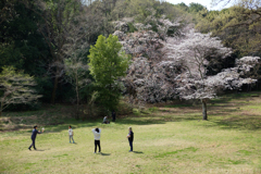 明日香村　大字豊浦　甘樫丘