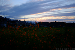 明日香村 大字岡 明日香村 大字岡