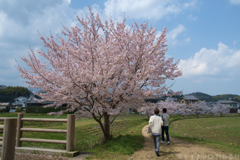 明日香村　大字御園