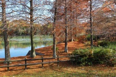 奈良県北葛城郡河合町、広陵町　馬見丘陵公園