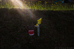 明日香村　大字稲渕