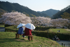 明日香村　大字島庄（ 国営飛鳥歴史公園　石舞台地区 ）