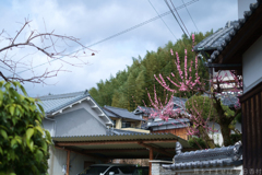明日香村　大字平田
