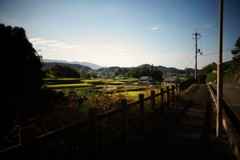 明日香村 大字平田 明日香村 大字平田