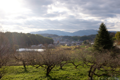 明日香村 大字野口 明日香村 大字野口