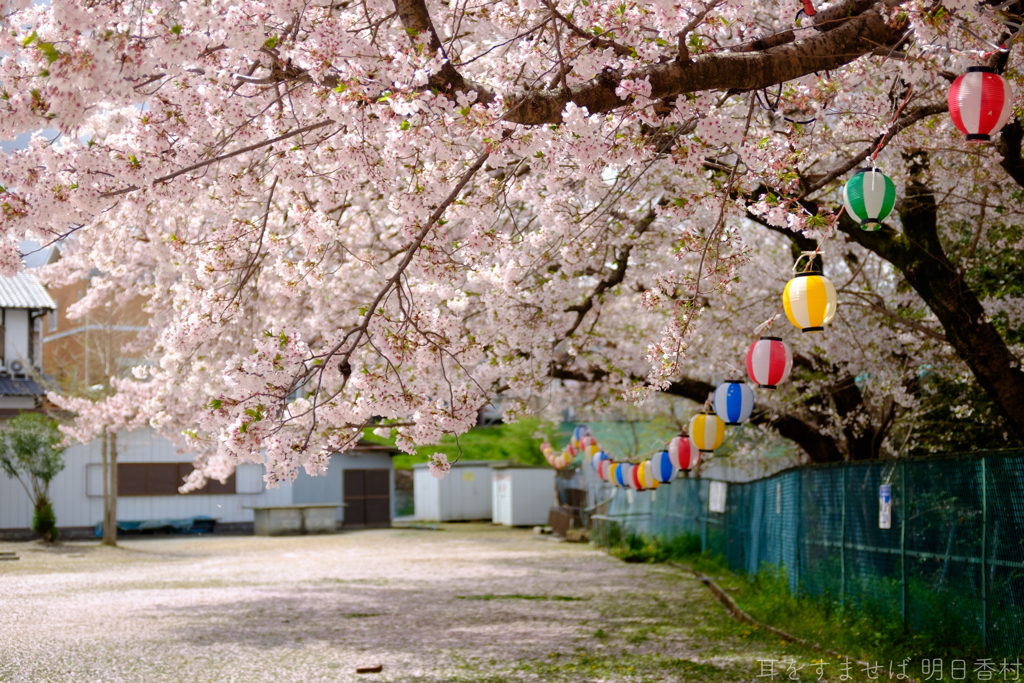 橿原市　菖蒲町