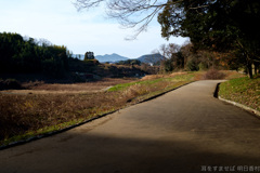 明日香村　大字豊浦（ 甘樫丘 ）