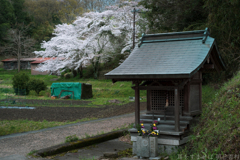 明日香村　大字豊浦