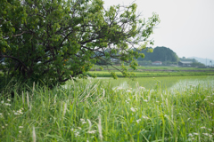 明日香村　大字奥山