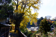 奈良県桜井市　素盞雄神社
