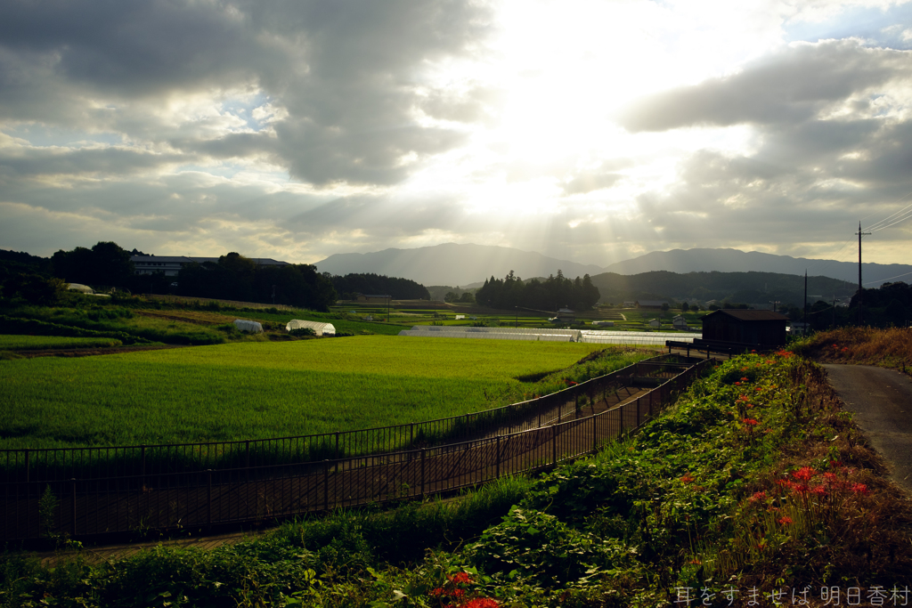 明日香村　大字栗原