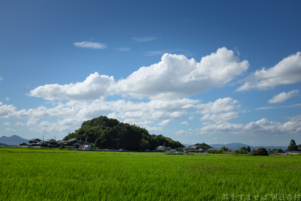 明日香村　大字小山