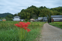 明日香村　大字飛鳥