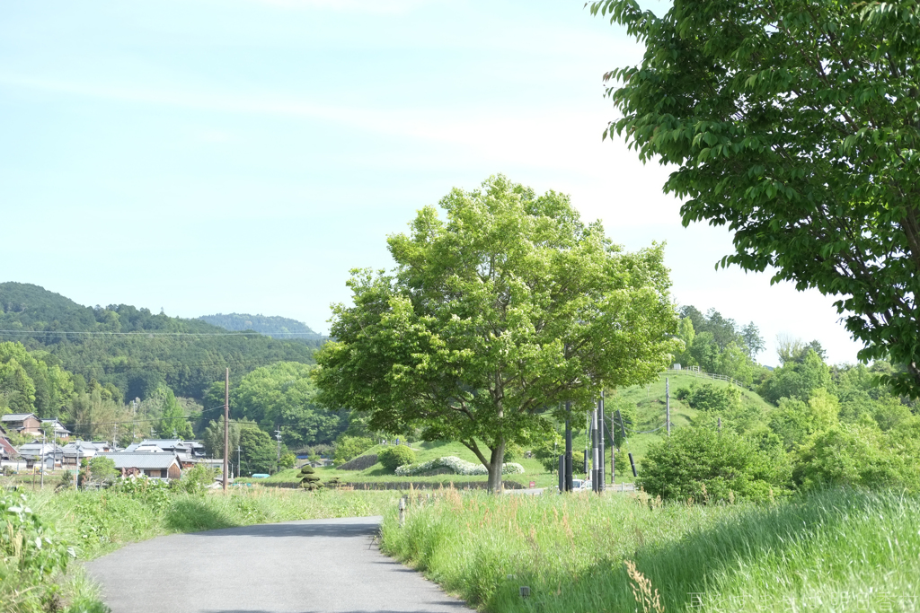 明日香村　大字大檜前
