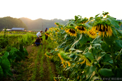 明日香村 大字岡 明日香村 大字岡