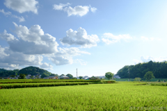 明日香村　大字岡