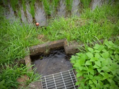 明日香村 立部 明日香村 立部