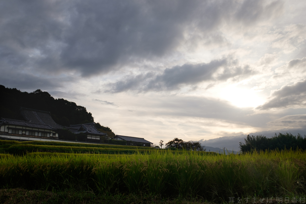 明日香村　大字橘（ 橘寺 ）