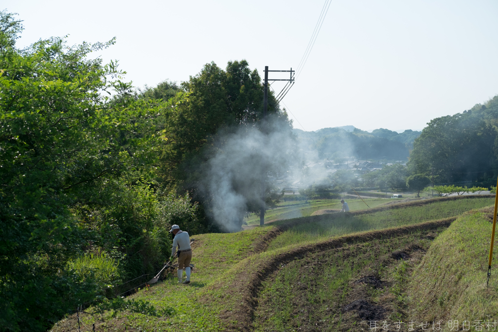 明日香村　大字上居