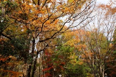 奈良県北葛城郡河合町、広陵町　馬見丘陵公園