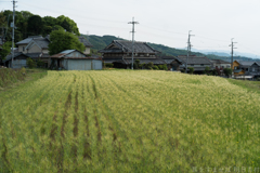 大阪府太子町（ 竹内街道 ）