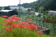 明日香村　大字祝戸