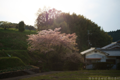 明日香村　大字立部