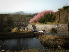 明日香村　大字立部