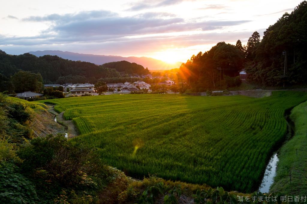 明日香村　大字島庄