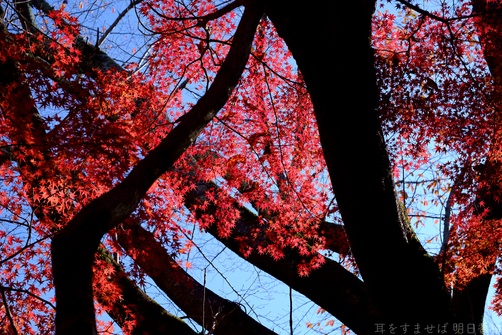 明日香村　大字平田　中尾山古墳
