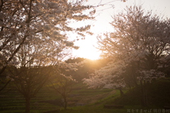明日香村 大字稲渕 明日香村 大字稲渕