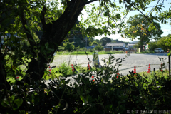 明日香村 大字飛鳥 明日香村 大字飛鳥