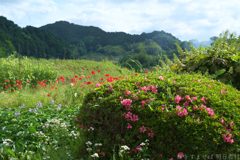 明日香村 大字稲渕 明日香村 大字稲渕