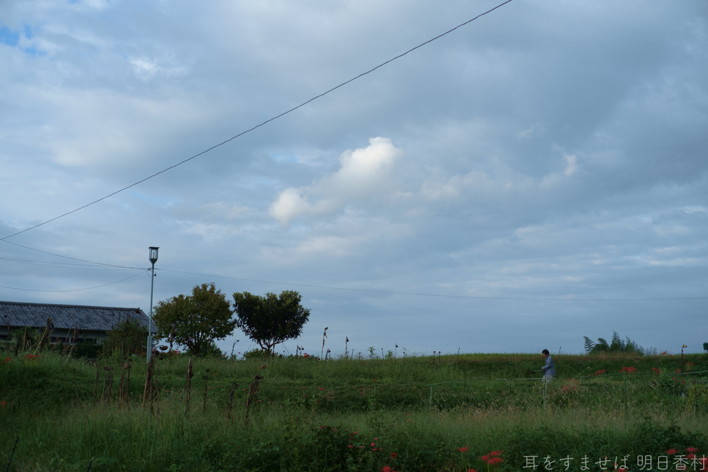 明日香村　大字橘