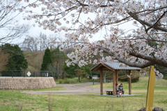 奈良県橿原市　万葉の森