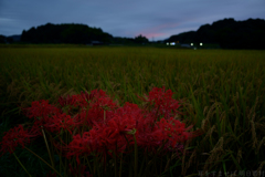 明日香村　大字飛鳥