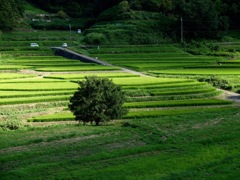 明日香村　大字祝戸