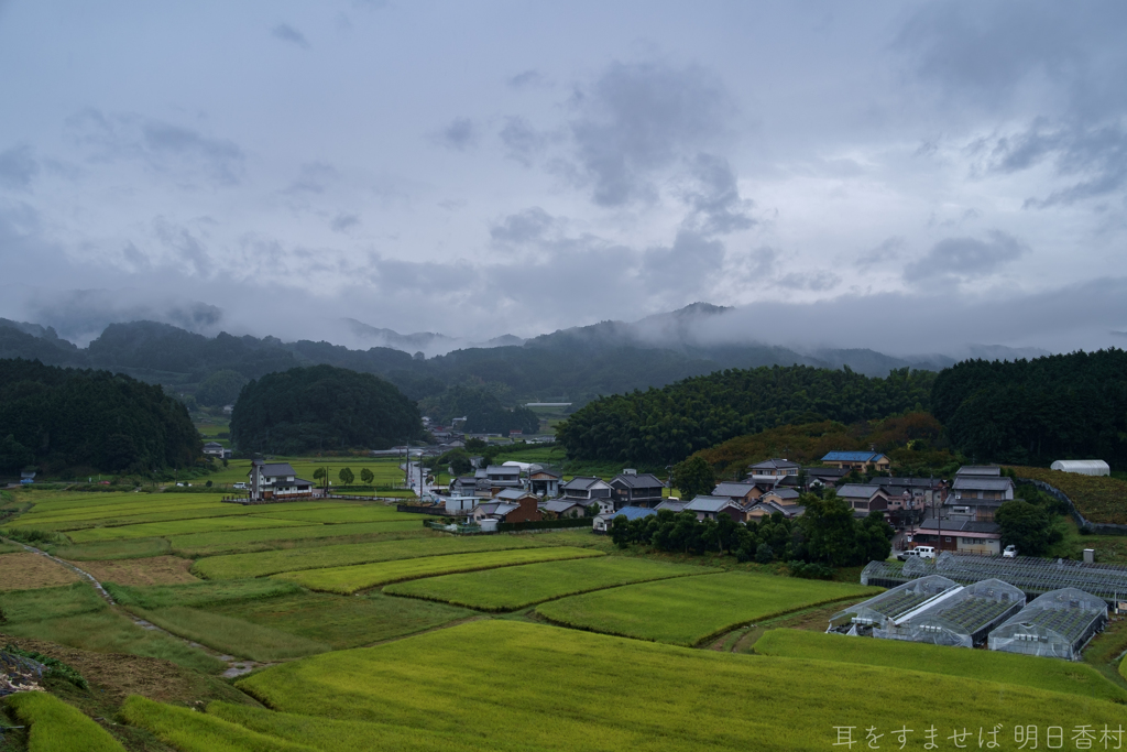 明日香村　大字野口