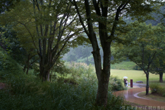 国営飛鳥歴史公園　高松塚周辺地区